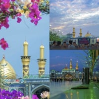 كربلاء المقدسة • الخميس • نقل مريح