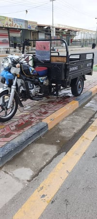 ستوته • برتقالي • ابو رمانه