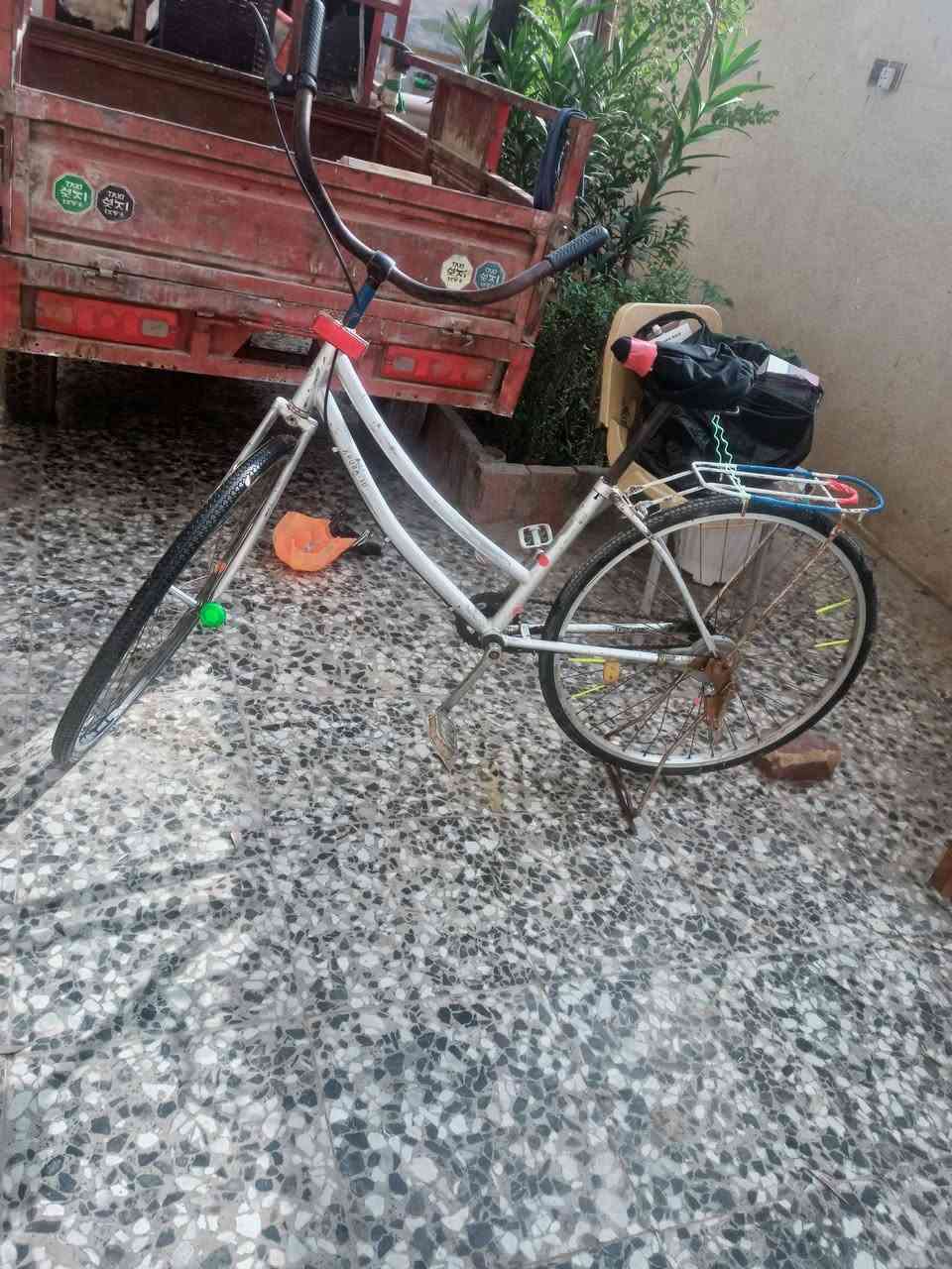 السلام عليكم بيسكل حجم 27مكاني ميسان السعر 65 بيمجال قليل


**إذا كنت صاحب هذا الإعلان وتريد حذفه لأي سبب، رجاءا أرسل رسالة إلى الدعم الفني**