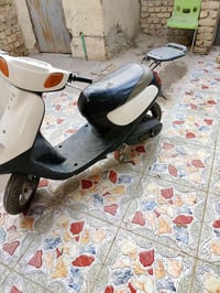 منغولي • نظيفه • ما مفتوحه