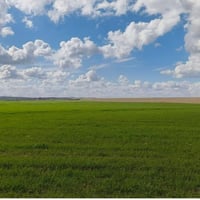 ٣٠ دونم • سند أبيض • منشاة الجابر