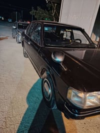 أرنب • ٩٥ • رقم بغداد