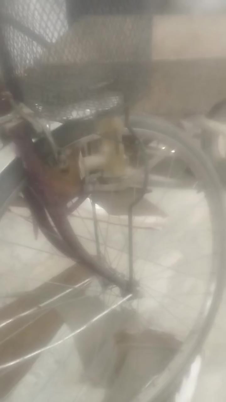 السلام عليكم شباب بايسكل حجم 26اخو الجديد وياله وتايرات وجوابه جددللبيع السعر خاص


**إذا كنت صاحب هذا الإعلان وتريد حذفه لأي سبب، رجاءا أرسل رسالة إلى الدعم الفني**