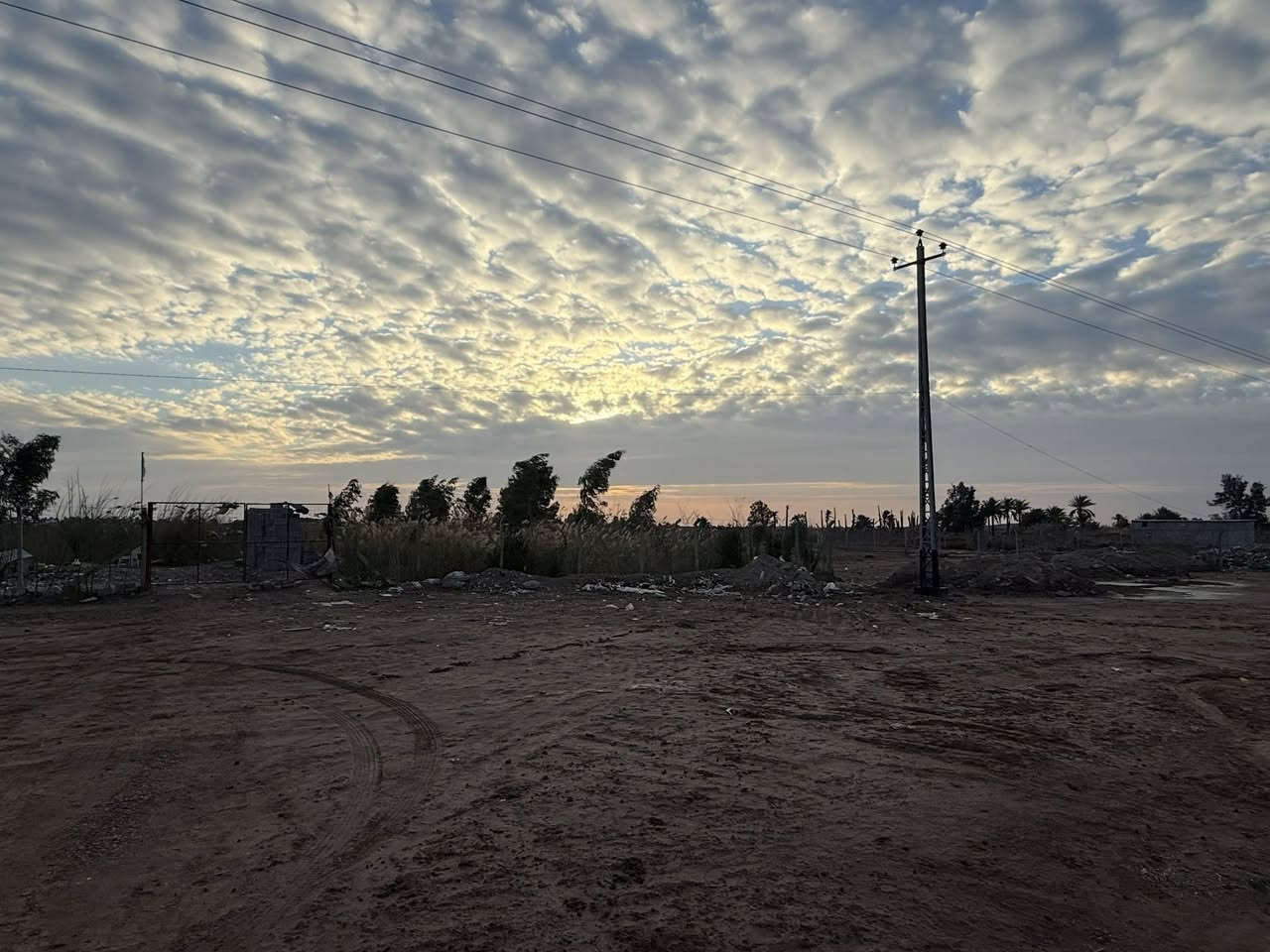 دونم طابو زراعي سند ( 25 ) 
بجانب معمل ( تنقية البذور ) 
على طريق زبيدية - محطة واسط الحرارية 
الوجه 23 م 
النزال 108 م 
ماء - كهرباء + ( بير ) + ( تشجير ) 

للاستفسار مراجعة مكتب ( غيدان ) للعقار  
واسط - الزبيدية - مقابيل حي ( الصناعي )  
***********  
*********** محمد سيد غازي
