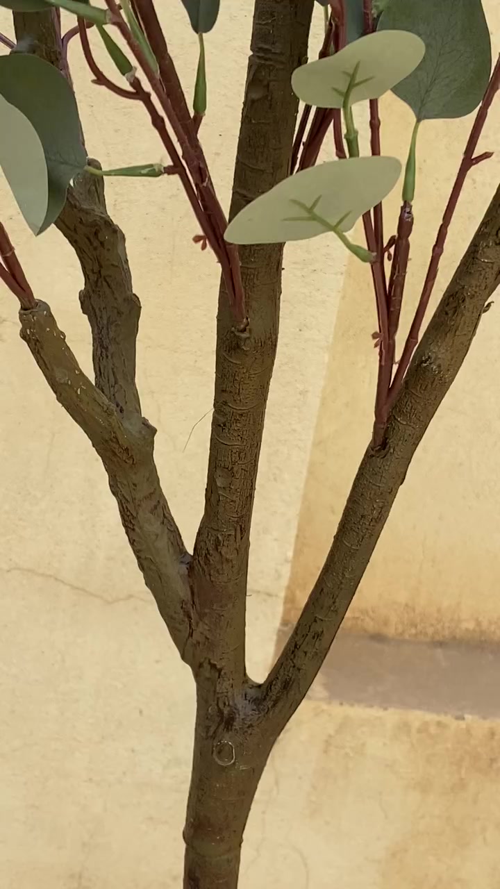 شجره الصفصاف الصناعيه كوالتي عالي ارتفاعه ١٨٠ سم سندانه اسود


**إذا كنت صاحب هذا الإعلان وتريد حذفه لأي سبب، رجاءا أرسل رسالة إلى الدعم الفني**