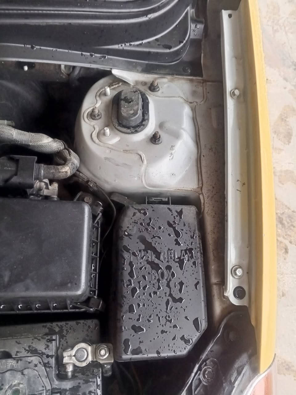 السلام عليكم اكسنت موديل 11 رقم بغداد هيه صفر غرامة صفر تحويل بل موصل كربون بيها بل ضررالسعر93 ‏‪***********‬‏   /*********** /
