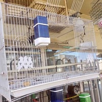 /عيد مبارك بسبب ضروف المشتري تم اعادة النشور متاح للبيع اقفاص عدد 3  و...