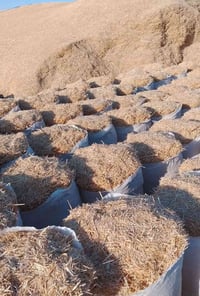 تبن • ٧ عرباين • كركوك