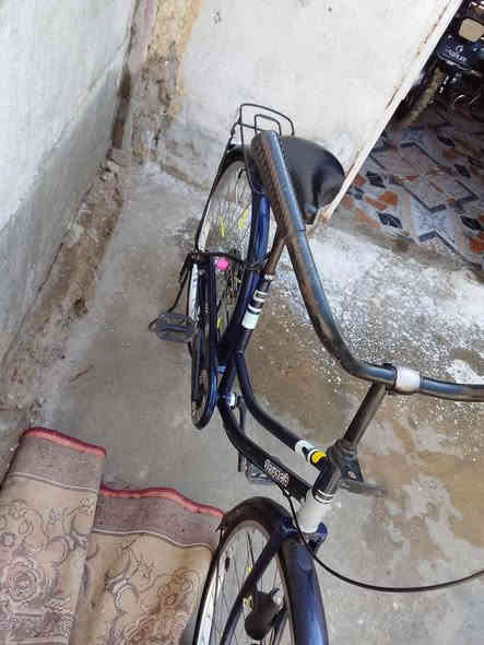 مكلف بل نشر بايسكل يابني كلش نضيف هاذا رقم صاحبه ***********
