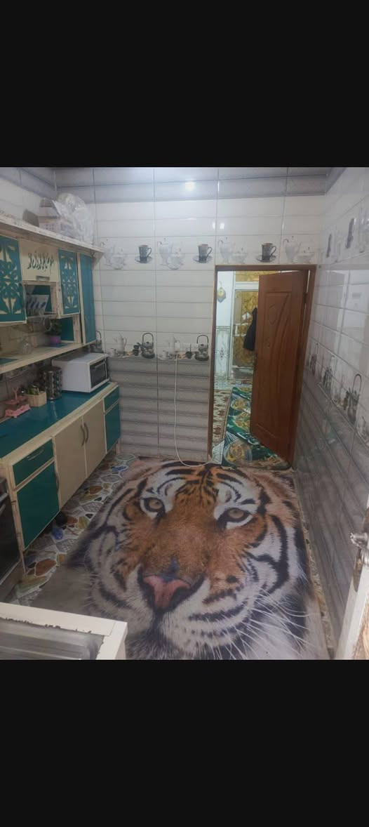 يا الله بيت 105متر بل سديناويه 
شارع صيدلية التفاحه طابوك
 صب كونكريت كامل الخدمات 
تفاصيل البيت غرفه وصاله ومطبخ 
وديوانيه وحمات داخليه خارجيه 
سعر مناسب 
للاستفسار ***********

      _______________________________
عندك #بيت للبيع او #للايجار دزلي تفاصيله وسعره ع الخاص بيع وإيجارات سريعه ان شاء الله والتسهيل من الله / تفضلوا خاص اوالاتصال على الرقم التالي 
      _ _ _ _ __***********_ _ _ _  __
                 مكتب الـسـلام للعقار
