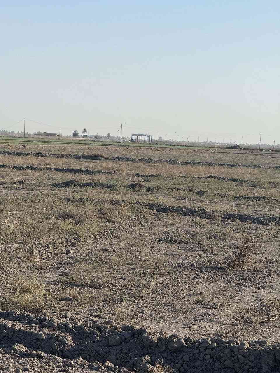 فرصة استثمارية قرب طريق التنميه العرض مالته 500متر ومرتسم   التنميه موجود

المساحه الكليه للارض 27 دونم سند مستقل 
داقطع وابيع شي اصولي وتثبيت حدود لكل دونم 
السعر 9 مليون للدونم الواحد ابيع دونم دونم 

بغداد التاجي ذراع دجله سبع البور العيساويه تبعد عن بوابة كاضميه 35 دقيقه عدل 📍
المشترين كلهم من بغداد بدأت نضام مزارع واستثمار

أي استفسار *********** بدون وسيط 
هذا صور ارض
