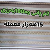 ستارة زيبرا • بيع عاجل • كلار