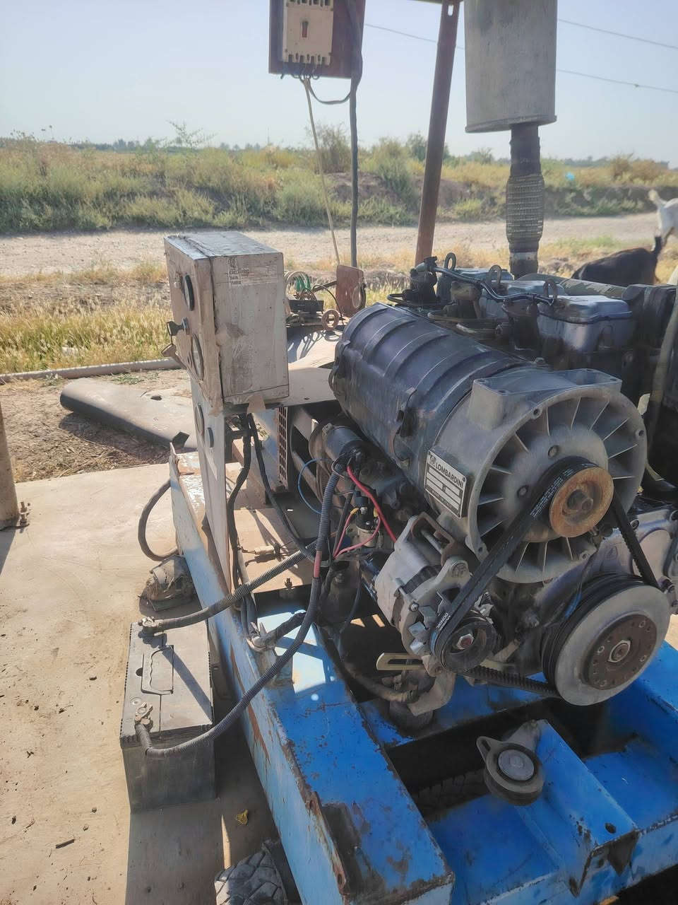 للبيع مولد دويز 3 بستم ألماني مع دينمو 24 KV  إنتاج 96 أمبير المولد شغال وبحالة جيدة وخير من الله
💰 السعر: 3,000,000 دينار عراقي
📍 الموقع: محافظة صلاح الدين – قضاء الدجيل
📞 رقم الهاتف: ***********
للبيع مولد ديزل 3 بستم ألماني مع دينمو 24 KV إنتاج 96 أمبير المولد شغال  وخير من الله
