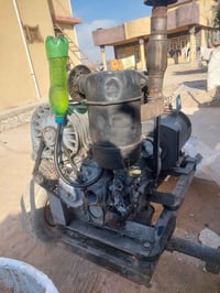 مصري • لا سلفة • ديالى