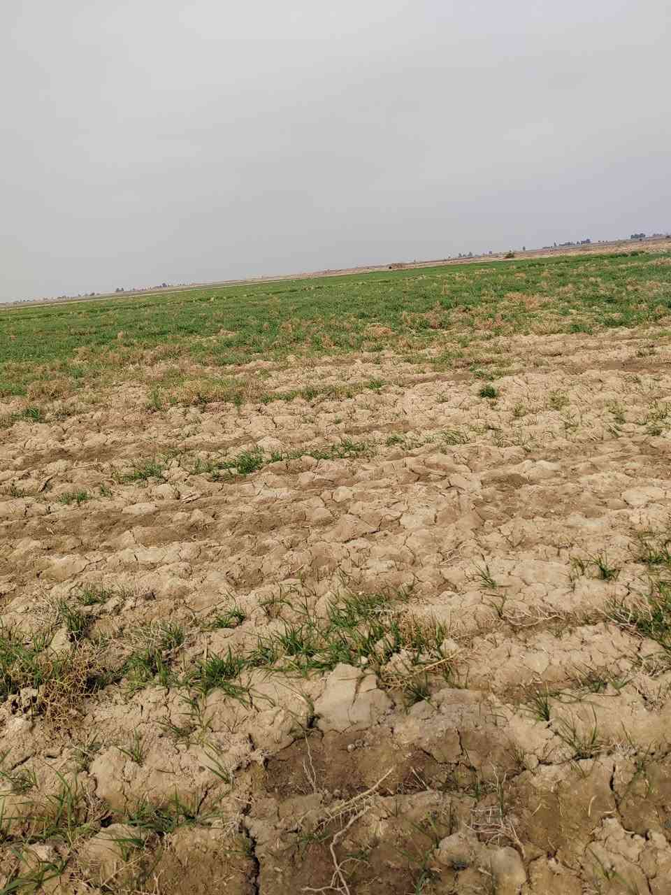 السلام عليكم ورحمة الله اخوان أرض زراعيه ٦٤دونم كهرباء مدرسه شارع تبليط يبعد عنه ٣٠٠متر الاتصال على الرقم ***********
