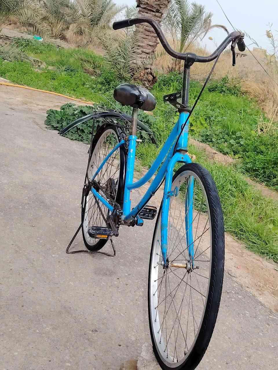 السلام عليكم عمي بانسكل لل بيع ما مصبوغ السعر خاص


**إذا كنت صاحب هذا الإعلان وتريد حذفه لأي سبب، رجاءا أرسل رسالة إلى الدعم الفني**