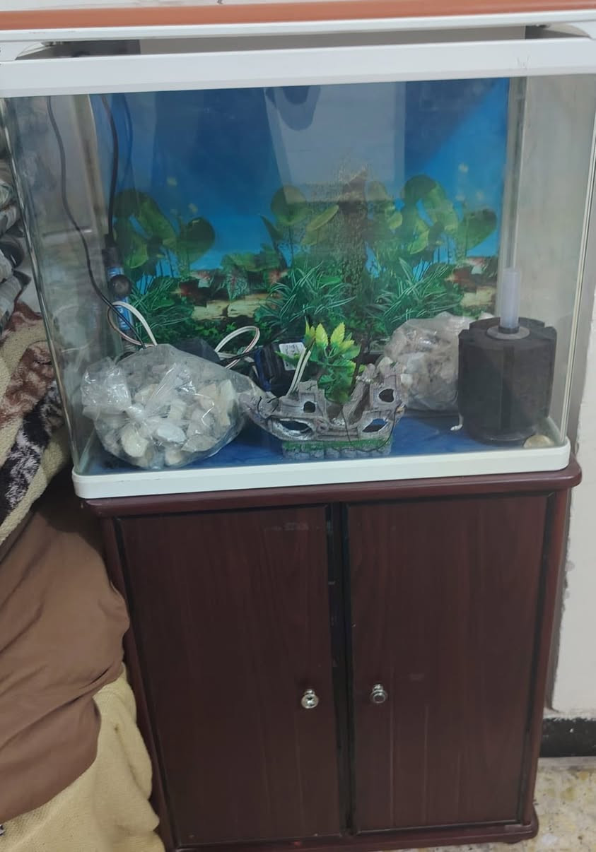 حوض اسماك كامل بسعر 100الف


**إذا كنت صاحب هذا الإعلان وتريد حذفه لأي سبب، رجاءا أرسل رسالة إلى الدعم الفني**