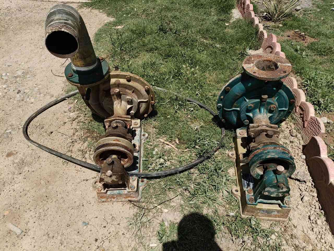 سلام عليكم خنازير للبيع شغالات نضيفات للاستفسار ***********
