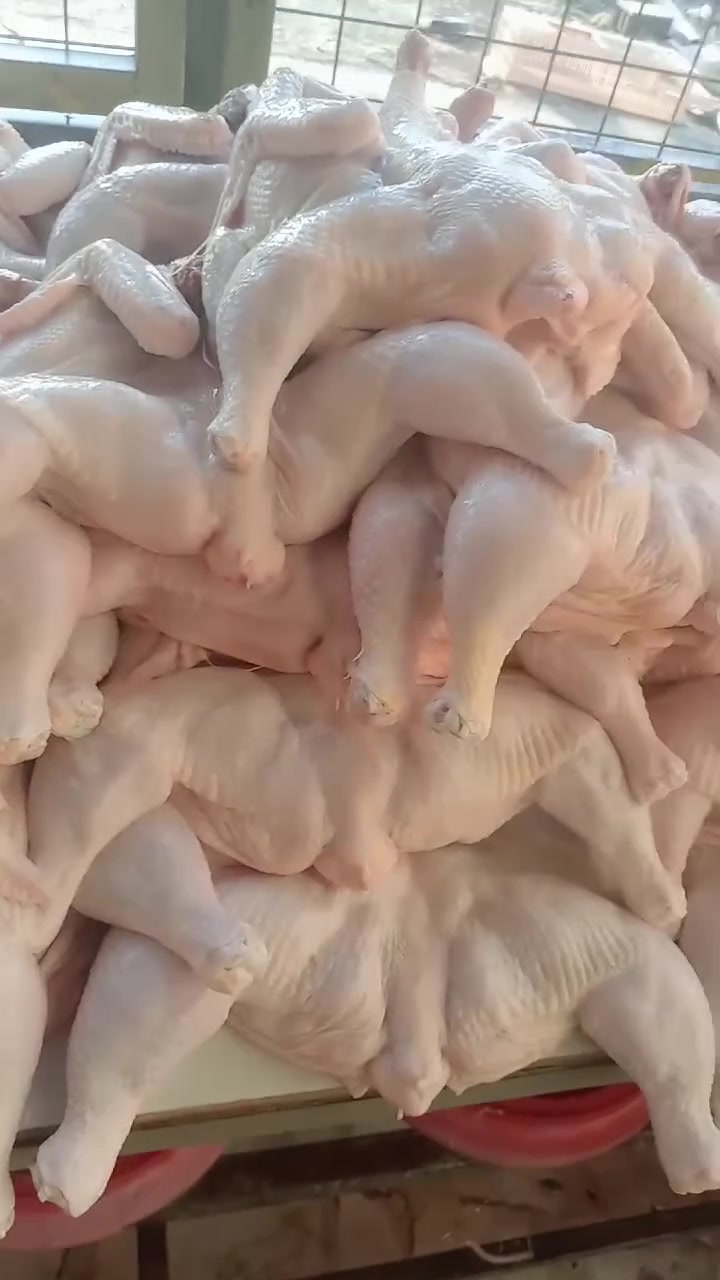 بسم الله الرحمن الرحيم
﴿وَفِي السَّمَاءِ رِزْقُكُمْ وَمَا تُوعَدُونَ﴾
بِـ اسم الله نبدي، وبخدمتكم نتشرف..
نعلن عن افتتاح محل دجاج، ومثل ما عودناكم، دجاجنا "علفريش" ومذبوح كدام عينك ومو مال تجميد. النظافة عدنا أمانة، والطعم شي راقي يليق بسفرتكم.
💰 أسعارنا تنافسية:
سعر الكيلو: بـ 2,900 دينار بس.
تنظيف : بـ 1,000 دينار وتدللون، الدجاجة توصلكم "جاهزة للطبخ".
وتوجد لدينا خدمه توصيل داخل منطقه الأسود 
العنوان/الأسود /المحمودية/مقابل المولد/ فرع بيت دكدك
رقم الهاتف/***********
