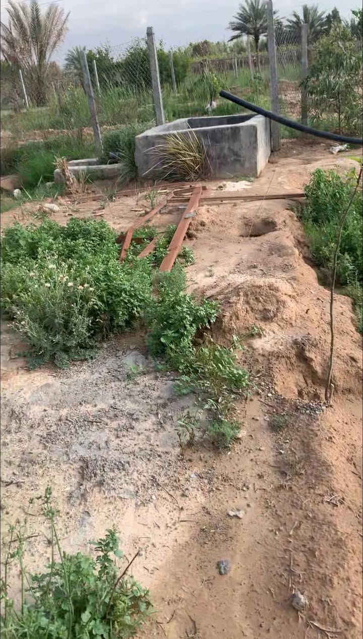 السلام عليكم
بستان للبيع
العنوان  نهاية عبارة بهرز 
المساحة دونم ونص
تقع على الشارع التبليط بشكل مباشر  وساحلية  على نهر ديالى أيضا
السقي من نهر ديالى 
مسيجة كامل BRC
كهرباء واصلة اشتراك 
طابو سند 25 باسمي
السعر المطلوب 45 مليون قابل للتفاوض
للاستفسار الاتصال على الرقم ***********
