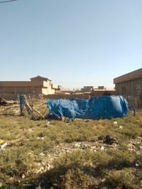 طابو زراعي • 450م • چريديغ كركوك