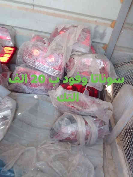 أسعار مفرد بسعر الجملة ليت وبك ليت التك ب 20 الف الحجز مراسلة الصفحة ووتساب ***********
