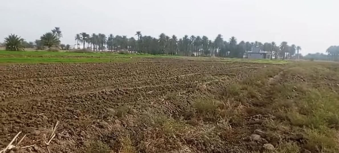 السلام عليكم بغداد الراشدية ثلاث3 دوانم  السعر الدونم واحد سعرها75بية مجال

واجها50النزال150

سند25طابو 

ماي ساله ماي سكي واكهرباء 

الارض ع تبليط عرض شارع 15متر  

الاستفسار ***********

— في ‏بساتين الراشديه‏.
