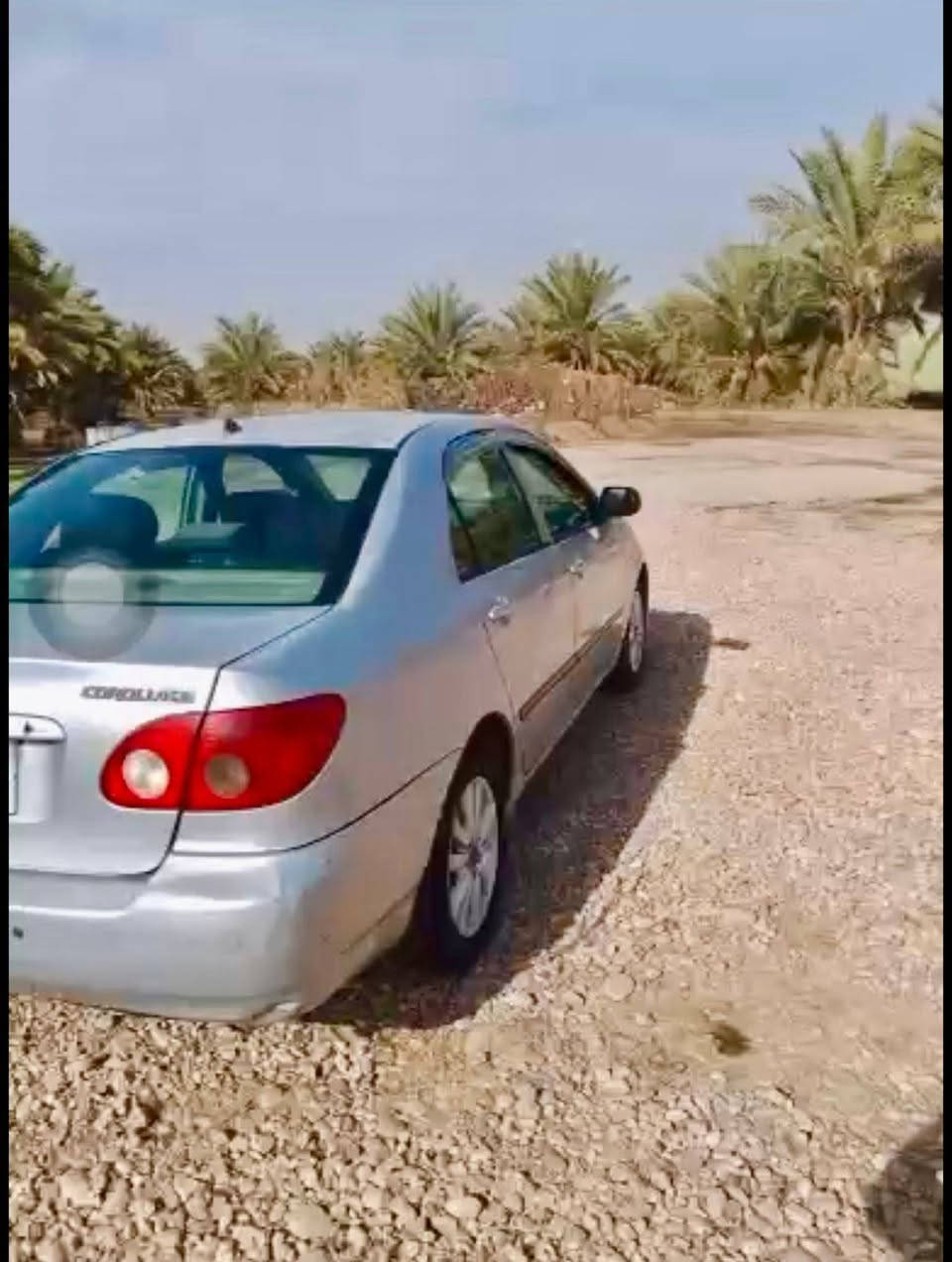 السلام عليكم كورلا للبيع 2008 امريكي ضررها جاملغ امامي بيها كم قطعة صبغ للجمالية سبب الجراد مكينه بيها تبخير  قليل كير تبريد شغال خير من الله رقمها بغداد هزة سنوية كلة جديد السعر 79 وبيها مجال حك الجيه مكينه 1800 اتصل وتدلل *********** مكانها البلديات
