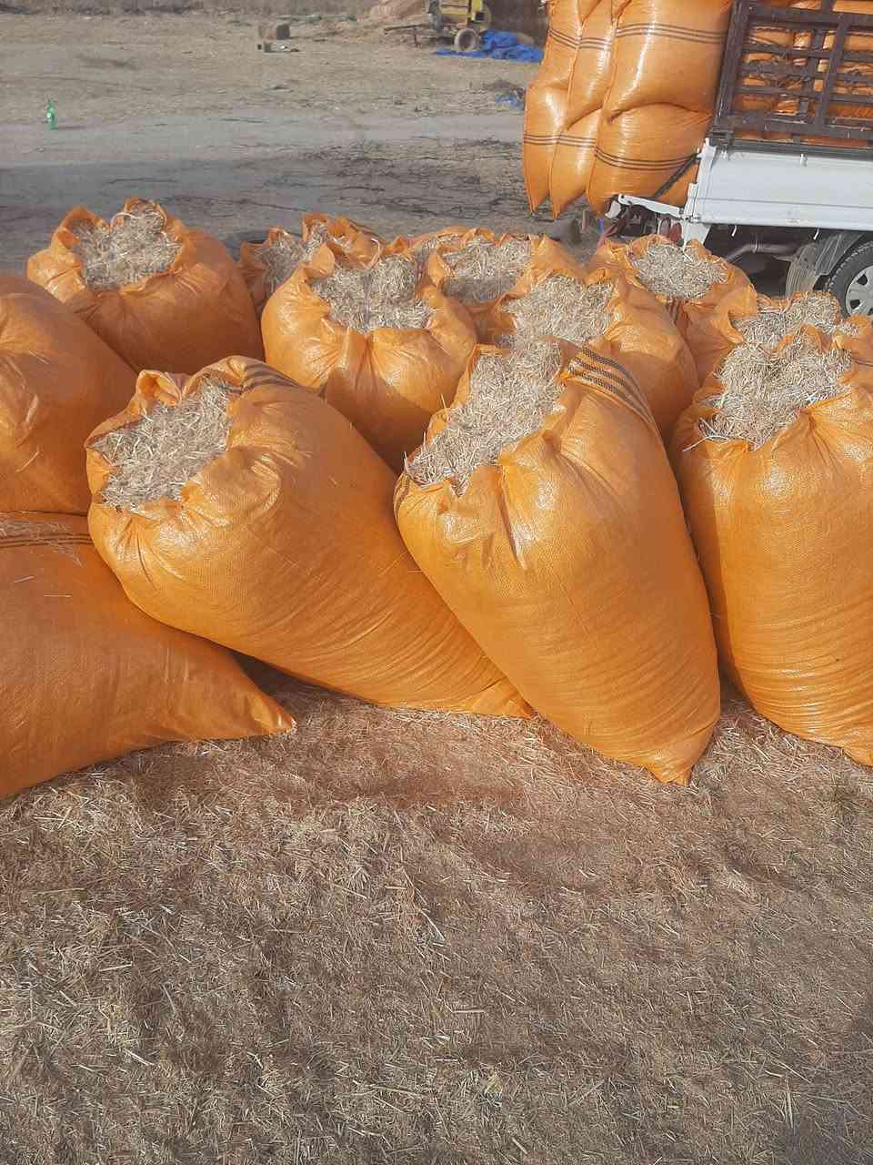 تخفيضات وبأنسب الاسعار
*********** او ***********
وتوصيل مجاني يوجد تبن
 نضيف + ابيض + الكبسه مال الكله 
مال الحاصوده الفوك + يوجد توصيل
 ديالى + بغداد + واسط الكوت
 بابل الحله + كربلاء + نجف
 ديوانيه + السماوه للاتصال والاستفسار
  متواجد واتساب وماسنجر
 وخطي *********** او ***********
