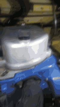 اللهم صلِّ على محمد وآل محمد
سلام عليكم تكتك عشرين شهر 12 التكتك نضافتهة تسعين بلمية مكينتهة بوش وبستن ودوسهة مامعمرة بدون صبغ ومعجون العنوان بغداد الحسينية المعامل هاذ رقمي *********** مامتواجد عله الفيس
