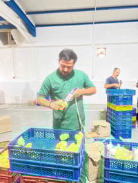 بسمِ اللهِ ماْ شاءَ الله تَعالى 🌿🤲  اليوم تم تلقيح وجبه افراخ لحم 🐣🐤  ...