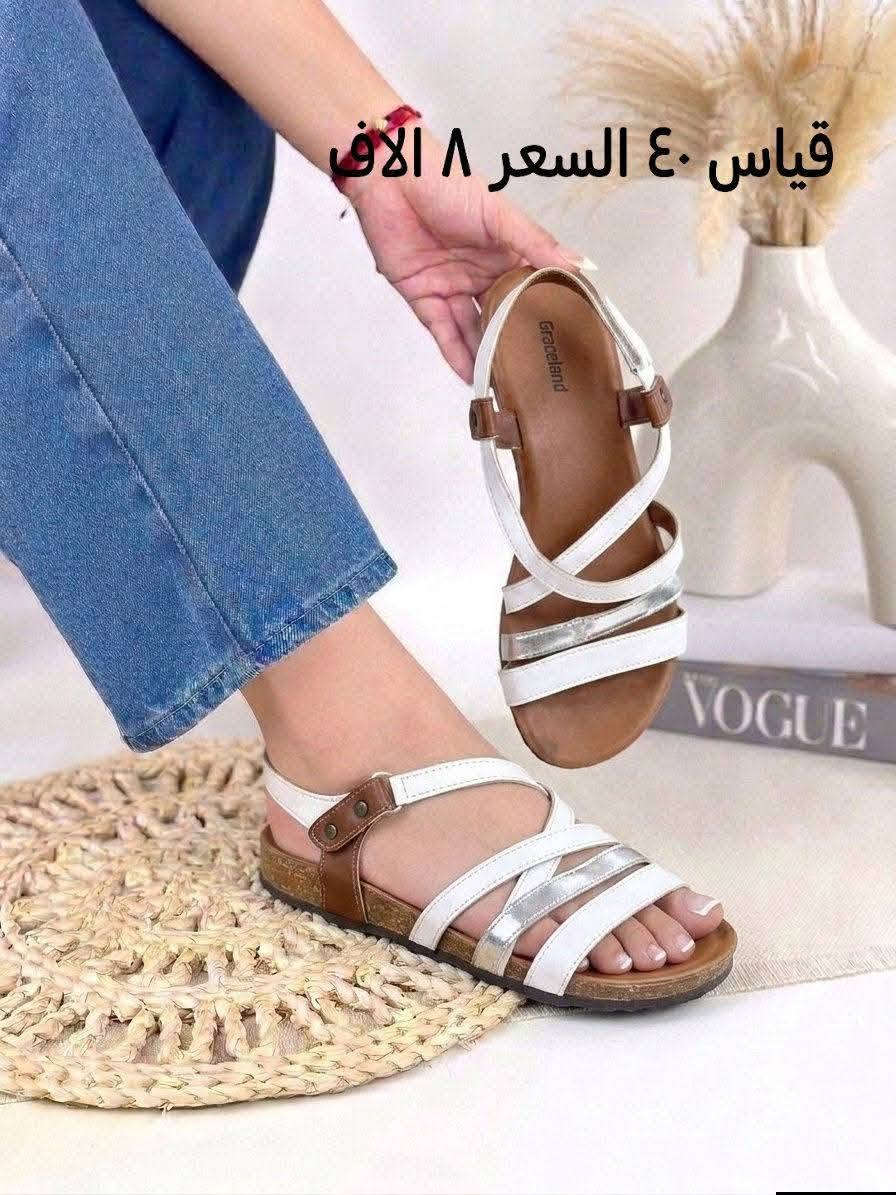 باله جديد القياس والسعر بصور


**إذا كنت صاحب هذا الإعلان وتريد حذفه لأي سبب، رجاءا أرسل رسالة إلى الدعم الفني**