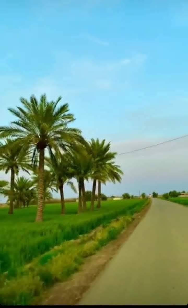 توفر للبيع 17 دونم
( نوع العقار طابو زراعي سند 25 )

🟩 السعر الدونم 6 وبي مجال

     ( مواصفات الأرض ) 💎
تكون على تبليط مباشر
#وواجهة  الواحد تكون 20 متر 

متوفر ماء سقي وكهرباء وسوق ومدارس وقريبة على مركز صحي تصلح للاستثمار العقاري ✅

📍 الموقع التاجي ذراع دجلة منطقة الشيخ عامر العيساويه 
#دوانم #دوانم
للاتصال والاستفسار اتصال *********** واتساب
