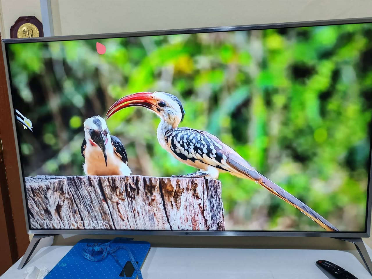 شاشة  إل جي للبيع موديل (LG 49UJ651V) وهي تلفاز ذكي بدقة 4K. كوريه وليست مصري او اندنوسي ومشتغله فقط ٤ اشهر.
شاشة  إل جي للبيع موديل (LG 49UJ651V) وهي تلفاز ذكي بدقة 4K. كوريه وليست مصري او اندنوسي ومشتغله فقط ٤ اشهر..
شاشه تفيد جماعة الالعاب ايضا لان راح تنطيك دقه فور كي حقيقي وليس كلام فقط مثل شاشات الصيني 
للمعلومه اكو تقليد صيني للشاشه ومعروفه 

المواصفات الأساسية

· الموديل: LG 49UJ651V 
· النوع: تلفاز LED ذكي (Smart TV) 
· سنة الصنع: 2017 (كما هو موضح على الملصق) 

الشاشة والعرض

· الحجم: 49 بوصة (قطرياً) 
· الدقة: 4K Ultra HD (3840 x 2160 بكسل) 
· نوع اللوحة: IPS (توفر زوايا مشاهدة واسعة) 
· معدل التحديث: 100 هرتز (مؤشر تردد) 
· تقنيات الصورة:
  · HDR: تدعم تقنيات Active HDR و HDR10 و HLG .
  · معالج ألوان: يحتوي على محرك لتحسين الألوان (Color Master Engine) .
  · رفع الدقة: يمكنه رفع دقة المحتوى العادي إلى قريبة من 4K (4K Upscaler) .

الصوت

· الطاقة الصوتية: 20 واط 
· نظام السماعات: 2.0 قناة 
· محيط صوتي: يدعم تقنية Ultra Surround لمحاكاة الصوت المحيطي .

النظام الذكي والاتصال

· نظام التشغيل: webOS 3.5 
· التحكم: جهاز التحكم السحري (Magic Remote) جاهز للاستخدام (يُباع بشكل منفصل غالباً) .
· البث والمرايا: يدعم Miracast و WiDi لعكس الشاشة من الأجهزة المحمولة والحاسوب .

المنافذ والمداخل

· HDMI: 4 منافذ (واحد منها يدعم ARC لإرجاع الصوت) 
· USB: 2 منفذ (بإصدار 2.0) 
· الشبكة: منفذ LAN (إيثرنت) و Wi-Fi مدمج (802.11ac) .
· اتصالات أخرى: Bluetooth مدمج ، مخرج صوت رقمي (Optical) ، مدخل RF للهوائي والقمر الصناعي ، ومدخل مركب (Composite) مشترك .

الطاقة

· مصدر الطاقة: AC 100-240V ~ 50/60Hz (كما هو موضح على الملصق) 
· الاستهلاك في التشغيل: حوالي 85 واط 
· الاستهلاك في وضع الاستعداد: 0.5 واط 

الأبعاد والوزن

· بدون قاعدة (عرض × ارتفاع × عمق): 110.7 × 64.5 × 7.9 سم 
· مع القاعدة (عرض × ارتفاع × عمق): 110.7 × 70.5 × 23.3 سم 
· الوزن بدون قاعدة: 11.3 كغم 
· الوزن مع القاعدة: 11.5 كغم 
· مقاييس التثبيت على الحائط (VESA): 300 × 300 ملم


**إذا كنت صاحب هذا الإعلان وتريد حذفه لأي سبب، رجاءا أرسل رسالة إلى الدعم الفني**