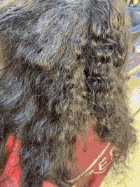 زبونه اجت سويناله معالج مع تسريح والنتيجه روعه 🥰❤️
العنوان: حله// الشقق السكنية على طريق جامعة بآبل العمارات البيض 

للأستفسار مراسلتنا عالخاص او الحجز على الرقم 
***********
