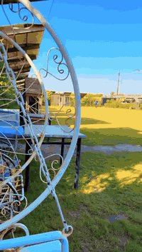 متوفر راس السنه مزرعه بيت اهلنا vip
لتواصل
***********
