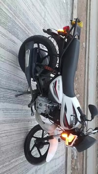 بوكسر • كلاسك • مرقّم ديالى