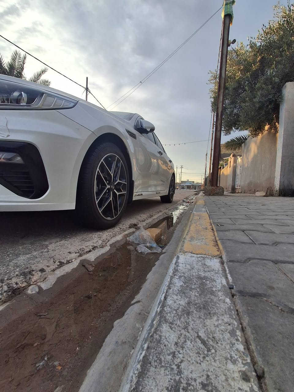 اوبتيماء خليجي كفاله 19 رقم بغداد بسمي ماشيه 94 
2000
 مكان واسط
***********
