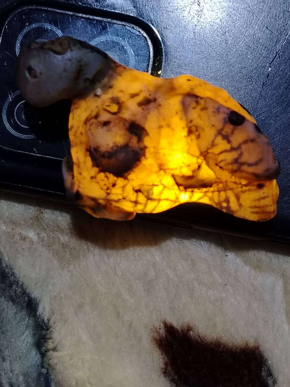 داوودية مصورة فرس 
داخلها عروق واضحة 
25 الف


**إذا كنت صاحب هذا الإعلان وتريد حذفه لأي سبب، رجاءا أرسل رسالة إلى الدعم الفني**