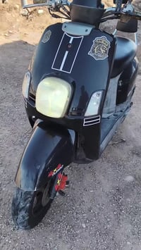 بوليس • فول • سلف