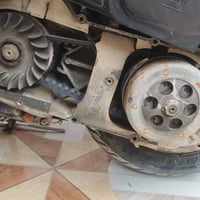 ماكس • كفاله عامه • بصره