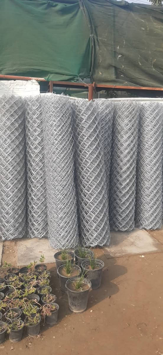 🚨تعلن سكلة الانوار لبيع وتنصيب وأسيجة ال🌐BRC🌐
عن استعدادها 🦺لعمل سياج بيارسي بكافة الأنواع والمواصفات الفنية 📝
💸بيع أسيجة ال BRC  والجادر والاسلاك الشائكة والأبواب والأعمدة الكونكريتية والبوري المغلون وأعمدة الانارة (تيل الكهرباء)
🦺صيانة الأسيجة المتضررة //تحويل الأسيجة //تغليف الأسيجة 
العنوان//الصويرة الشارع العام قرب مطعم هنداس مجاور سيراميك ابو زهراء//مشتل وسكلة الانوار🛻🛻يوجد خدمة توصيل 
للإستفسار اكثر الاتصال على الرقم ***********
