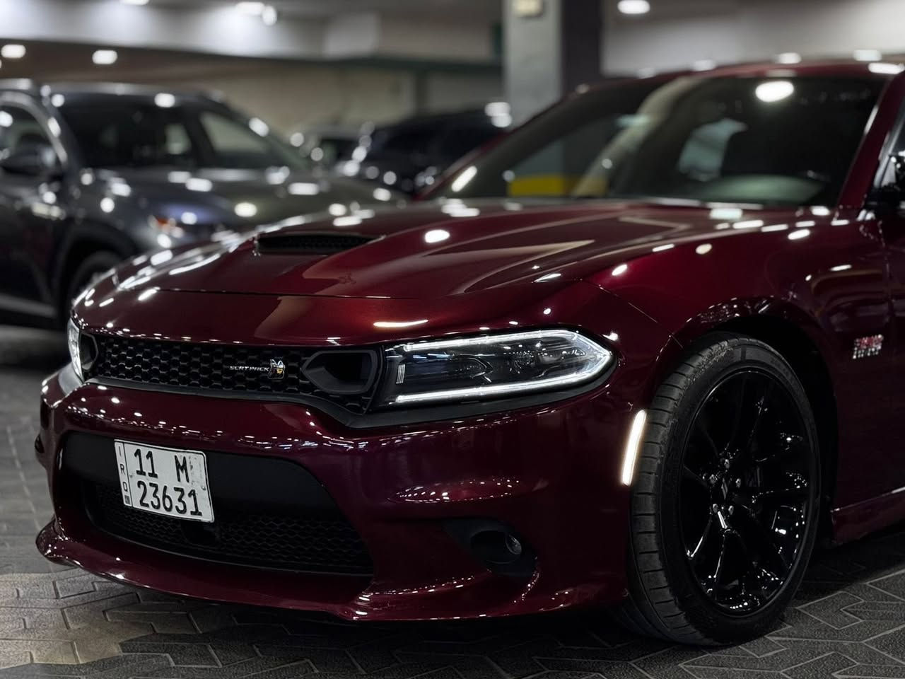 سلام عليكم دوج جارجر سكات باك 2022 خليجي فول مواصفات اعلى شي بيهة فتحة رادار توقف ذاتي خزن ميموري داخل كنتاره احمر تتدفه تبريد مقاعد مري قلاب سقف روز مقاعد كهرباء سستم صوت الباين ستيرن كهرباء كلشي بيهة اعلى فئة ممشه 42 الف كيلو بسمي بغداد سعر 34 الف 
***********
