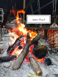 سمك • أنواع سمك • سمك طازج • مأكولات بحرية • بيع سمك • مطعم سمك • سمك ...