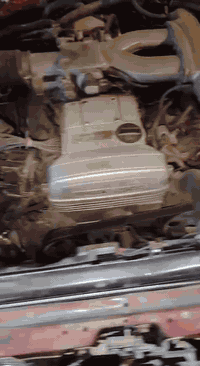 بيع او مراوس 
***********
