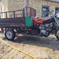 ستوته • نضيفه • غماس