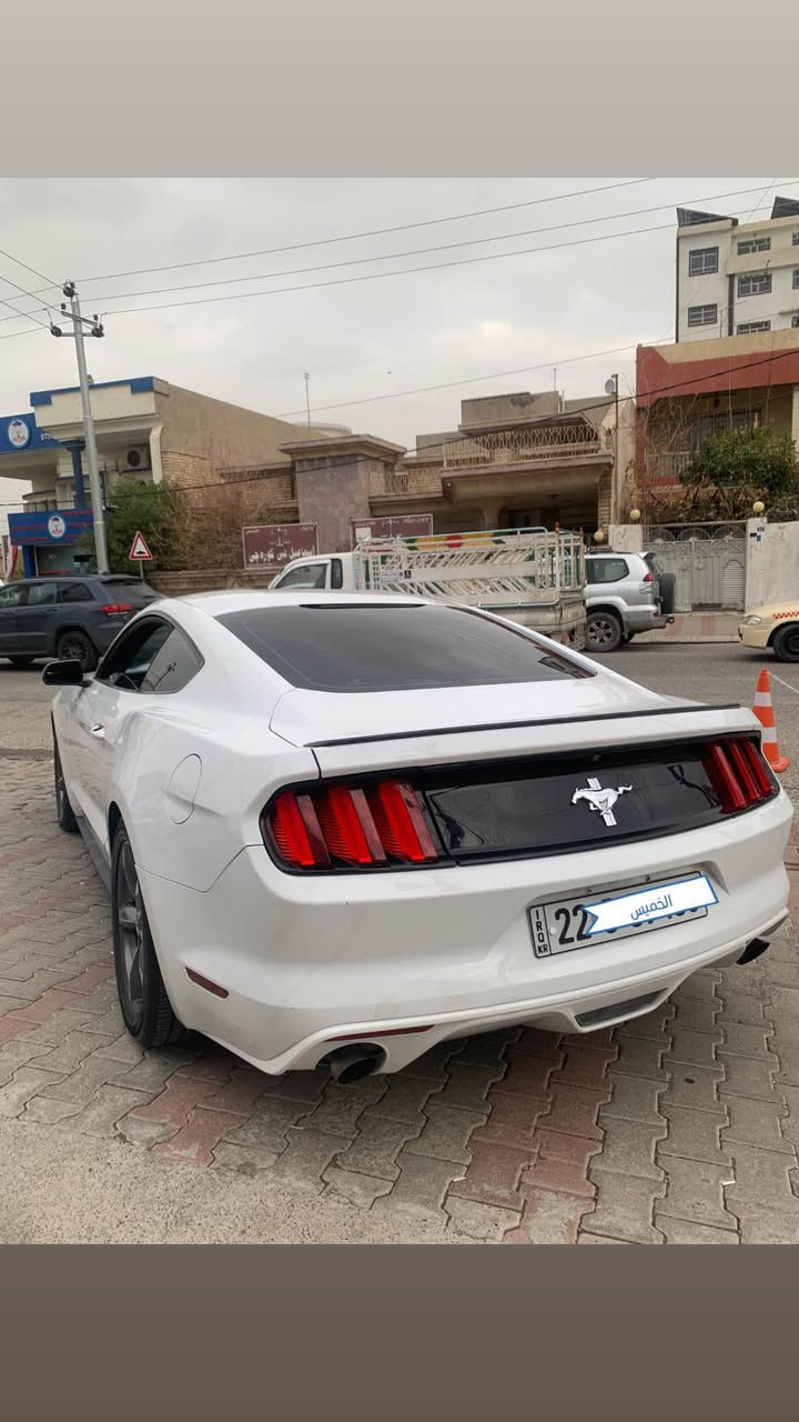 ▪️موستانج / MUSTANG , أمریکي  / 2017 
▪️رقم اربيل دولي سنوية جديد …………….،
▪️118 ألف كم / جير و محرك بشرط مامفتوح
 ▪️نص مواصفات ستاندر ، سيارة نظيف و حلو 
▪️حجم المحرك / V6 ستة سلندر كبس …….
▪️ثلاث قطع صبغ دبي ، بدون دواخل بدون ايرباك
▪️نص باب و نص جامرلغ خلفي صبغ عراق بدون حادث
▪️عنوان اربيل / *********** واتس اب 

▪️سيارة معروضة للبيع ( ١٣٩ $ ) بيها مجال أربيل, العراق

