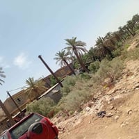 ٤دوانم مع ٤ بيوت قاطين للبيع طابو صرف ٠٧٧١٧٦٠٤٠٢٦بيه مقابل حي الفنانين