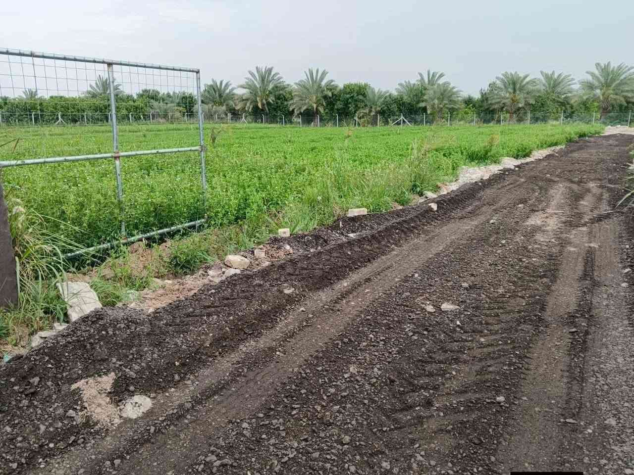 سلام عليكم دونم طابو صرف
خدمات كامله
تحويل مباشر بطابو المدائن
الوجهة ٦٠ الباقي نزال
العنوان المدائن منطقة اتويثه قرب شارع سيد علي 
موقع كله مزارع
الاستفسار اتصال برقم ***********
