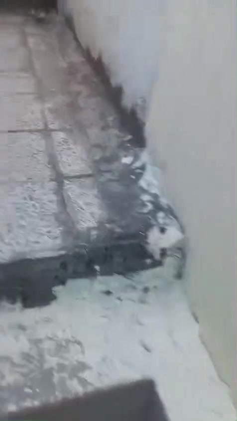للبيع نصف قطعه شرك عكاده طابق ونصف بقطاع ٥٦ حالين مواجر ب ٤٠٠ السعر 130


**إذا كنت صاحب هذا الإعلان وتريد حذفه لأي سبب، رجاءا أرسل رسالة إلى الدعم الفني**